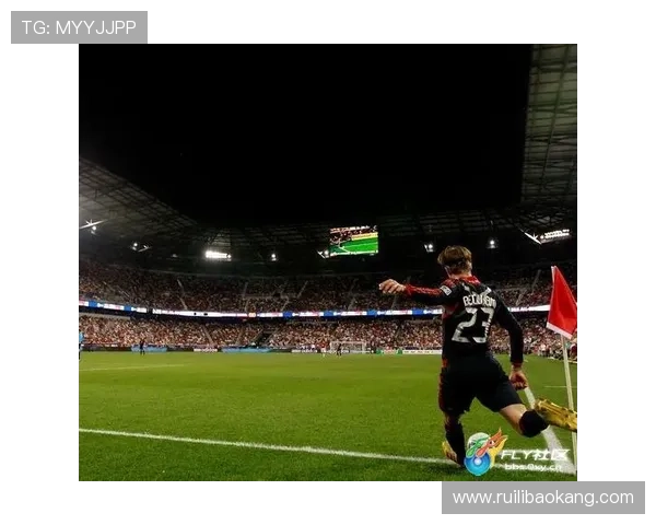 北美4大体育联赛比（北美四大赛事）sports